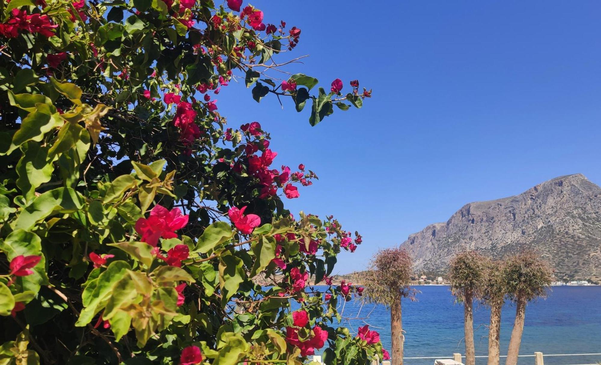 Agialos Rooms Kalymnos Town ภายนอก รูปภาพ